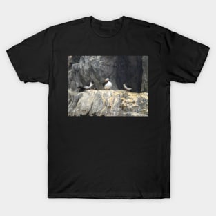 My bird T-Shirt